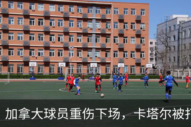 加拿大球员重伤下场，卡塔尔被打爆，“输球又输人”