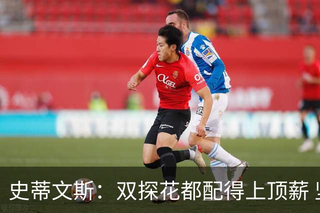 史蒂文斯：双探花都配得上顶薪 坚信他俩能携手为绿军再次夺冠