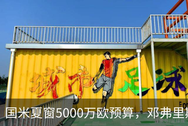 国米夏窗5000万欧预算，邓弗里斯离队将追帕莱斯特拉！