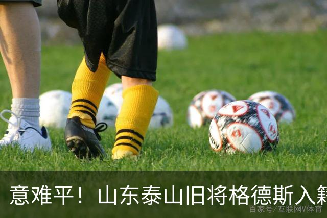 意难平！山东泰山旧将格德斯入籍卡塔尔，他本有机会为国足效力