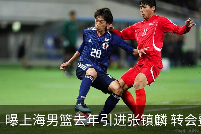 曝上海男篮去年引进张镇麟 转会费投入超5000万