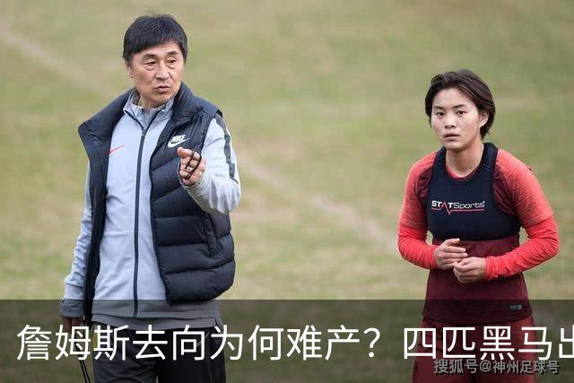 詹姆斯去向为何难产？四匹黑马出现加剧混乱