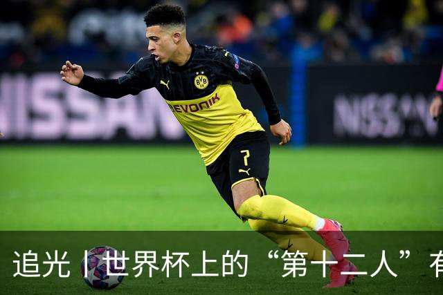 追光丨世界杯上的“第十二人”有多能整活？