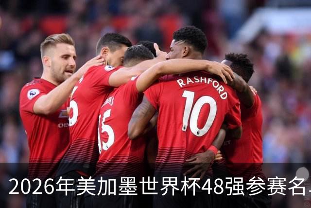 2026年美加墨世界杯48强参赛名单汇总