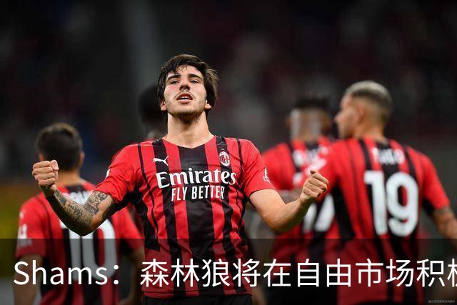 Shams：森林狼将在自由市场积极补强4号位 但他们只能提供底薪