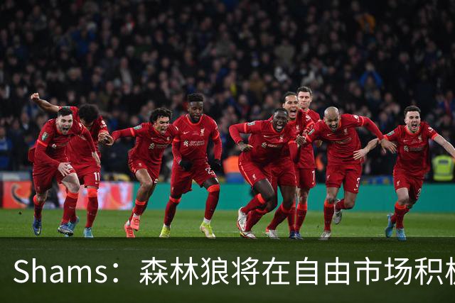 Shams：森林狼将在自由市场积极补强4号位 但他们只能提供底薪